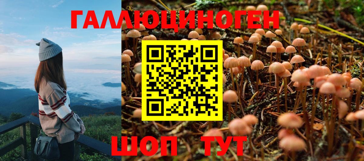 Псилоцибиновые грибы мицелий Великий Новгород
