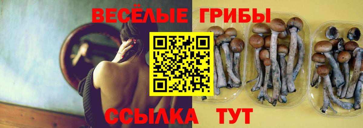 Псилоцибиновые грибы мицелий  наркошоп  Галлюциногенные грибы MAGIC MUSHROOMS  Великий Новгород  Вход с VPN 