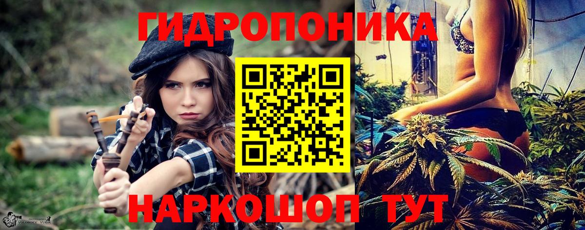 Бошки марихуана гибрид  Каннабис гибрид  Вход с VPN  Великий Новгород  Бошки Шишки индика 